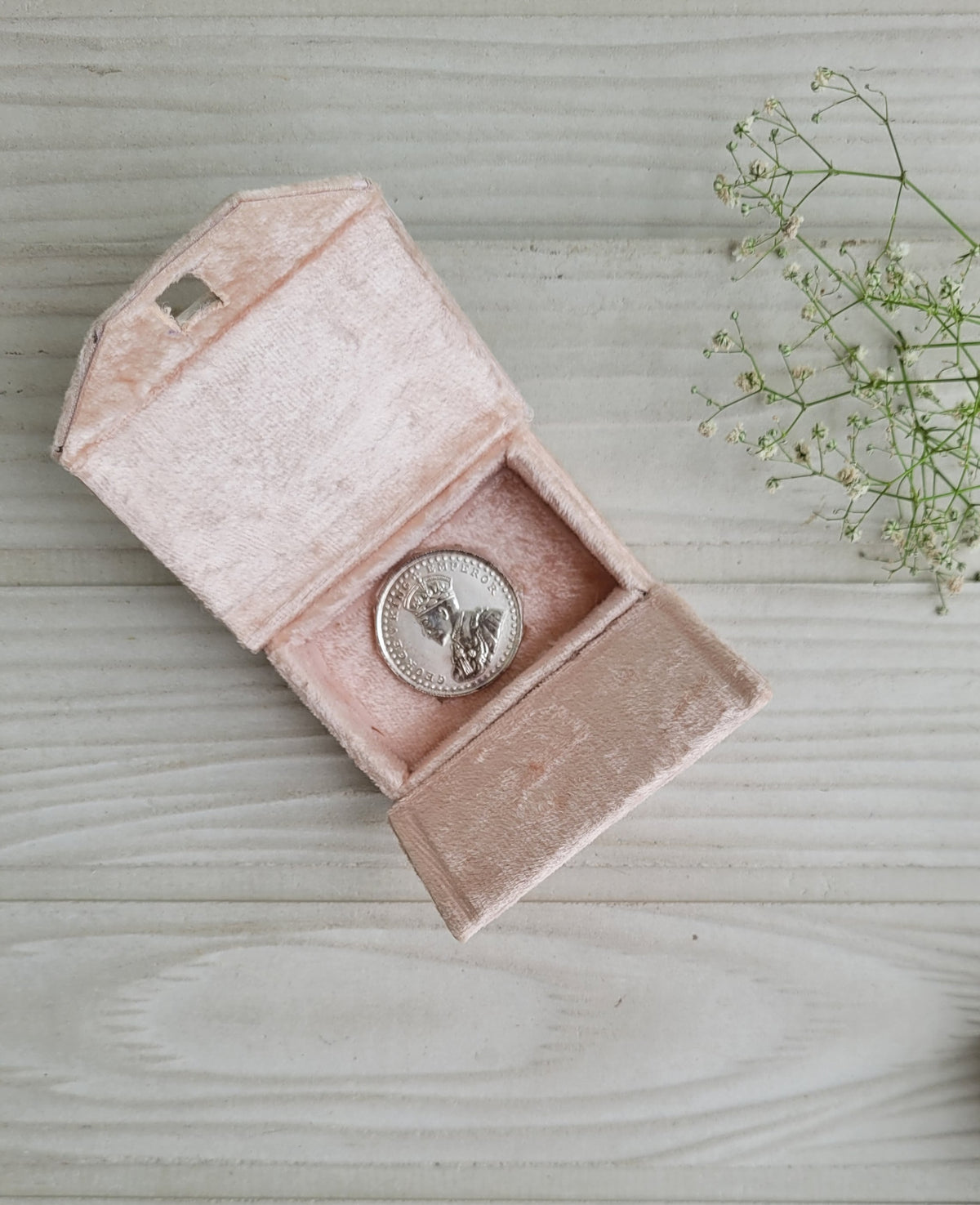 Birdie Velvet Coin Box - Blush &Birdie Velvet Coin Box - Gold