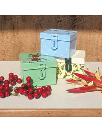 Mistletoe Sandy Box