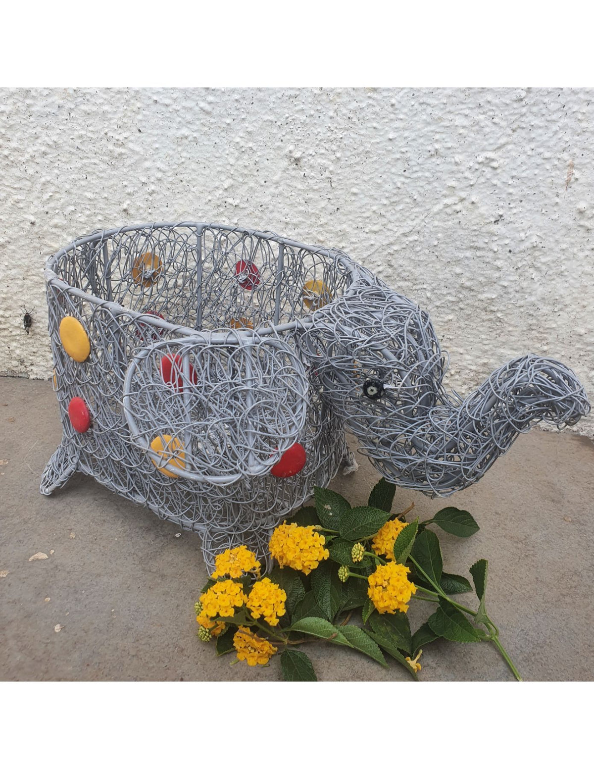 The Gray Meshed Elephant